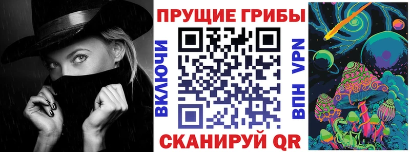 цена наркотик  Улан-Удэ  Псилоцибиновые грибы мухоморы 